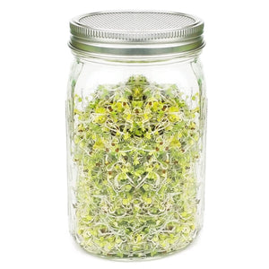 BMBY-Stainless Steel Sprouting Lids for Wide Mouth Mason Jars - Strainer Lid for Canning Jars and Seed Sprouting Screen